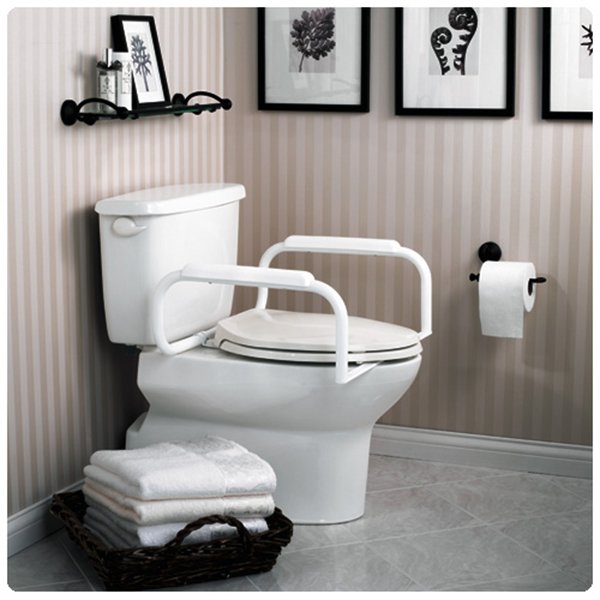 Moen Toilet Safety Rail