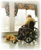 Standard Wheelchair Standard Wheelchair