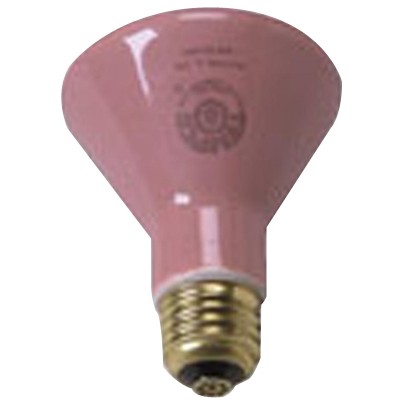 Accessories - (250 watt) Ceramic Bulb - each