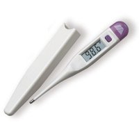 Show product details for Jumbo Display Digital Thermometer