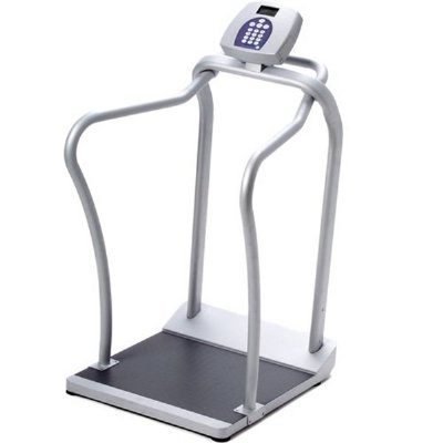 Pro Plus Electronic Handrail Scale