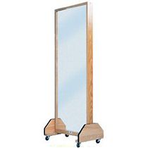 Portable Mirror / Rehab Storage Rack