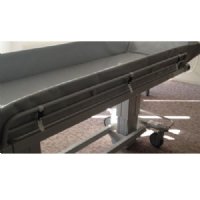 Show product details for Strap for Mattress Fastener on Shower Trolleys