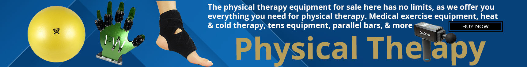 Physical Therapy