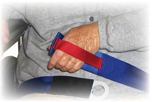 Wheelchair Safety Belts